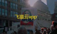 飞猫云app